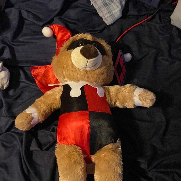 A little Harley Quinn bear I won at six flags - Picture 1 of 2